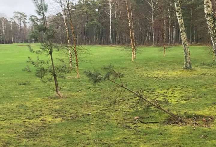 Halmstad Golfklubb