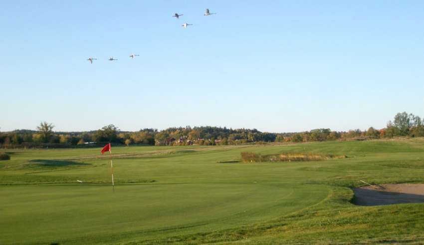 Gripsholms Golfklubb
