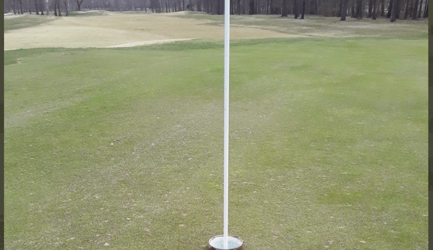Golf kopp