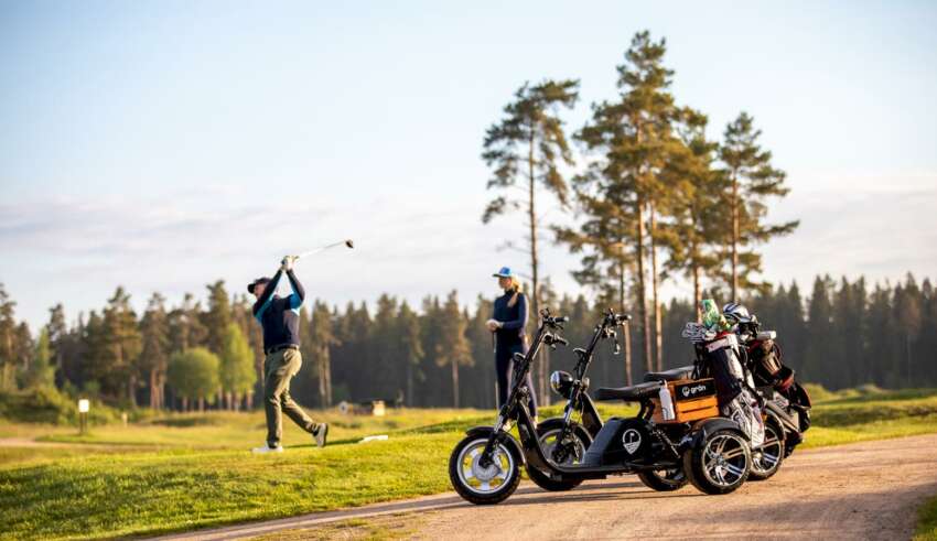 Grön Golf